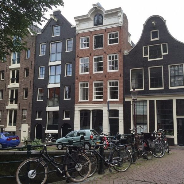 IMG_8702_e36304728a75524da68494755ff0e498